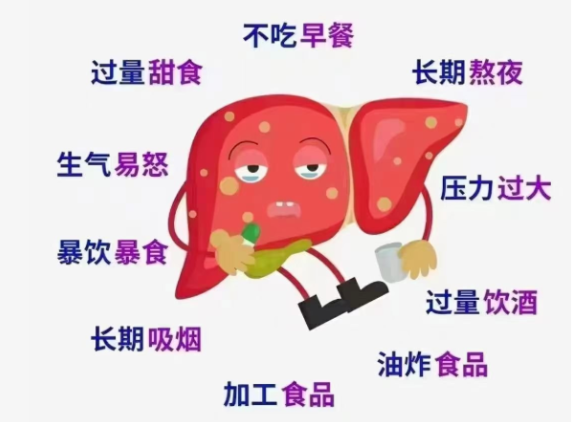 d4d10f63d67493070a8f2d190df4fcd.png