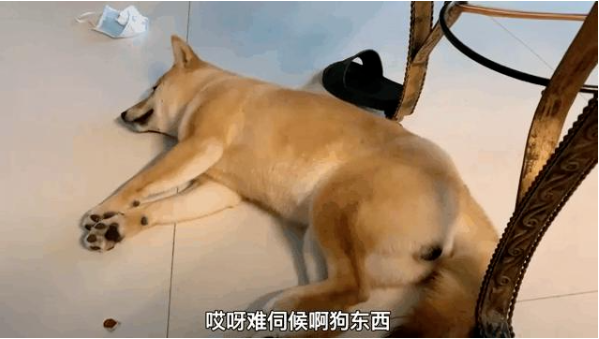 c277a6135979bd96138d36adabedaf0.png